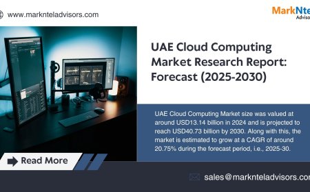 UAE Cloud Computing Market Executive Summary, Trends and Forecast 2030