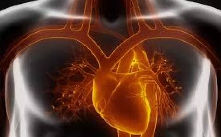 Cardiac Amyloidosis Market Size, Trends, and Strategic Outlook 2025-2032