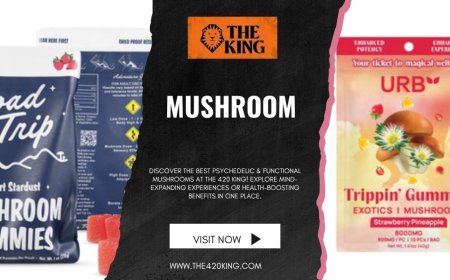 The Ultimate Guide to Mushroom Products in Florida