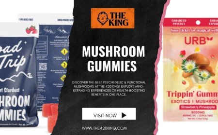 Mushroom Gummies: A Flavorful Path to Natural Balance