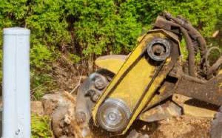 Stump Grinding: The Complete Guide to Removing Tree Stumps the Right Way