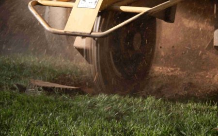 Stump Grinding: The Ultimate Guide to Removing Tree Stumps Like a Pro