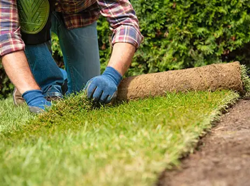 Landscaping Services Spanish Fork, UT